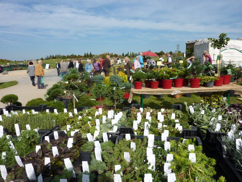 Pflanzenmarkt